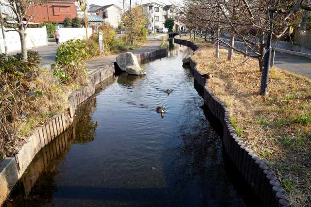 江川せせらぎ遊歩道